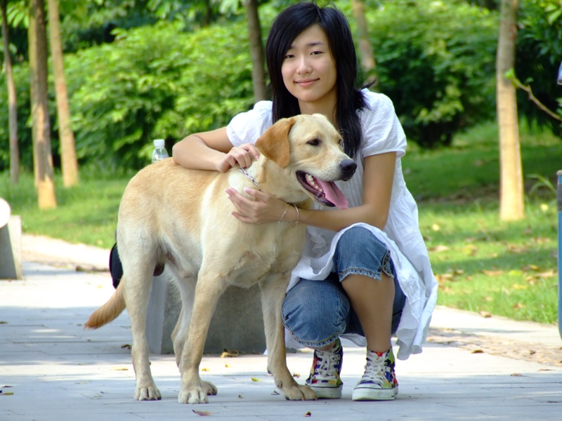 风中的绿叶的第一张照片--绵阳相亲服务中心
