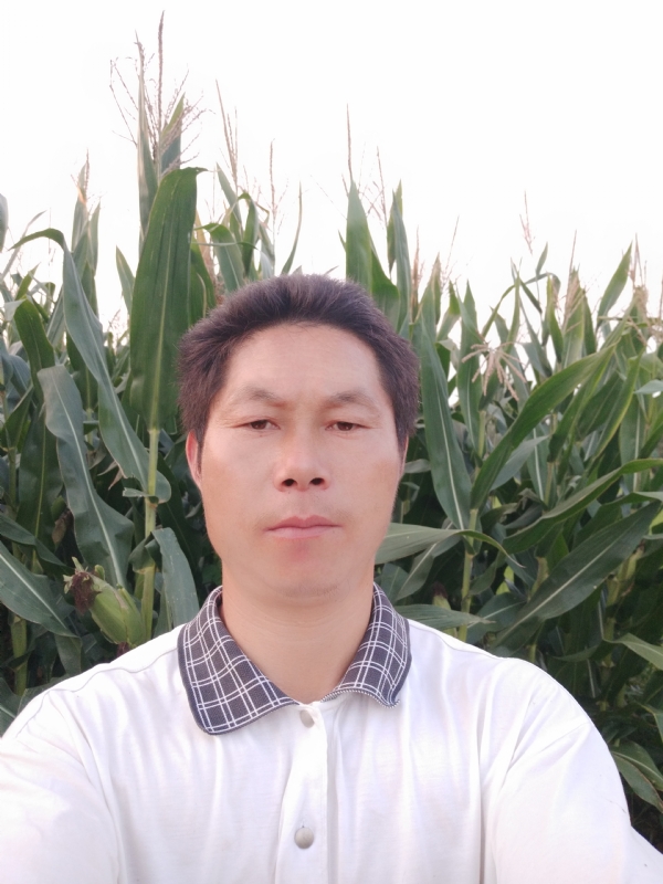 四海游龙的第一张照片--绵阳相亲服务中心