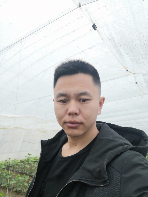 宇成的第二张照片--绵阳相亲服务中心