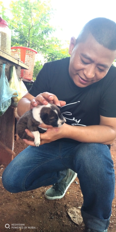 深圳相亲的第一张照片--绵阳相亲服务中心