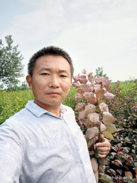 孩子爸的第一张照片--绵阳相亲服务中心