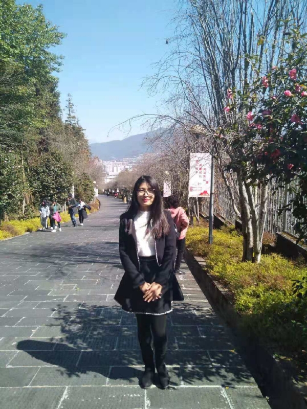 窗台上的桔梗的第一张照片--绵阳相亲服务中心