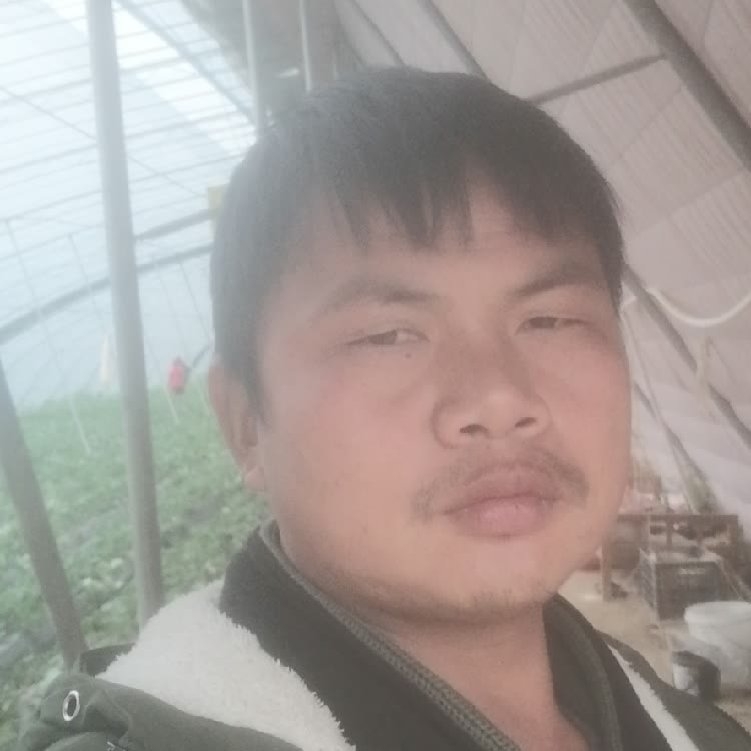 孤狼‘的第一张照片--绵阳相亲服务中心