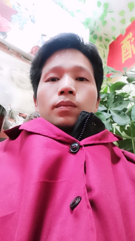 单身的林凡的第一张照片--绵阳相亲服务中心