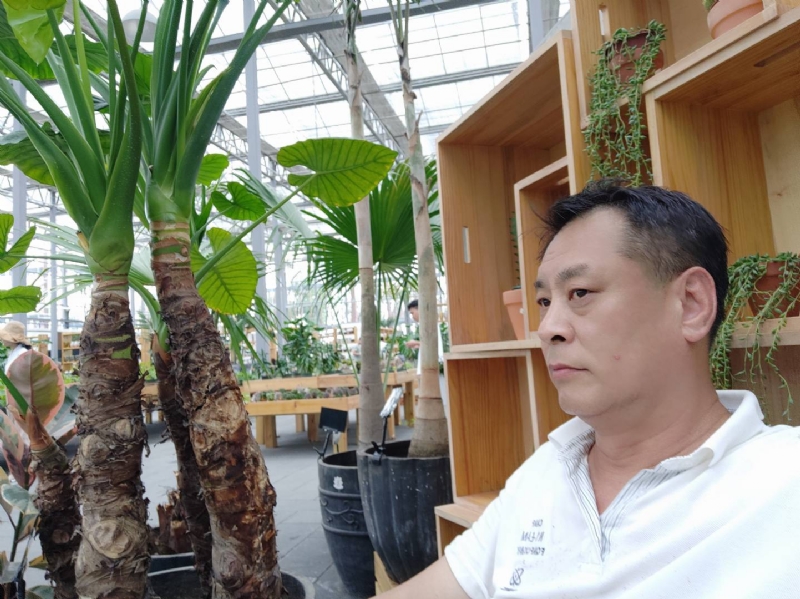 davidxy669988的第一张照片--绵阳相亲服务中心