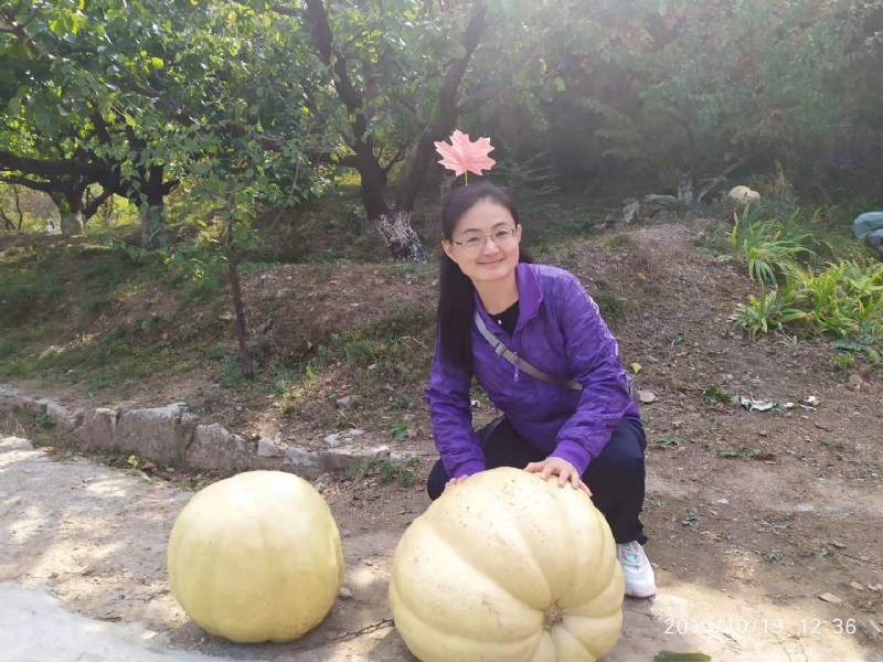 海绵宝宝的第一张照片--绵阳相亲服务中心