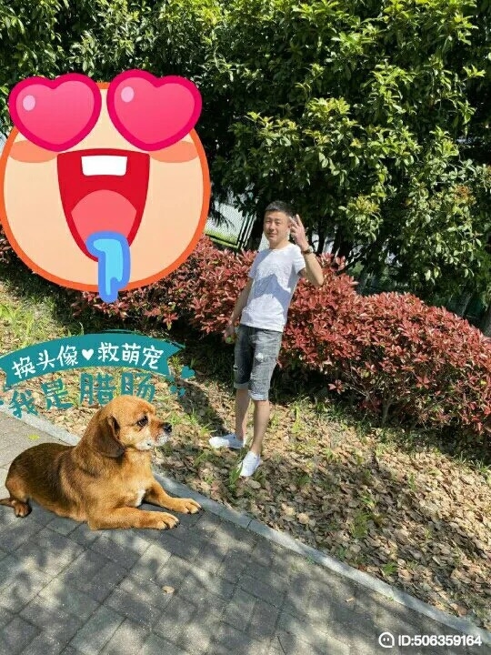 我若不坚强谁替我勇敢的第一张照片--绵阳相亲服务中心