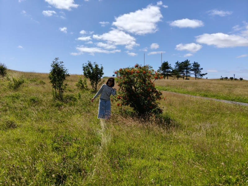 秋蝉的第一张照片--绵阳相亲服务中心