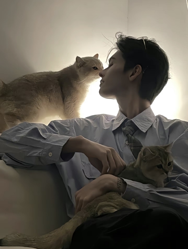 怪猫的第一张照片--绵阳相亲服务中心