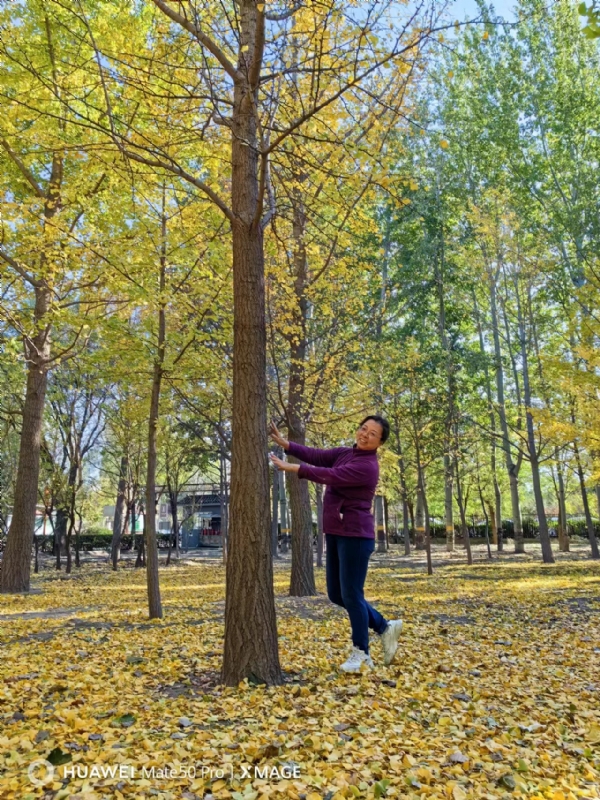 Shirley的第二张照片--绵阳相亲服务中心