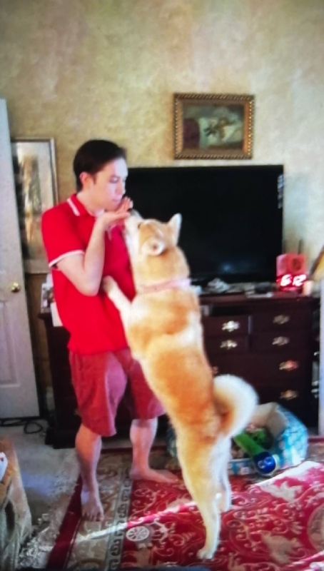 Leluch的第一张照片--绵阳相亲服务中心