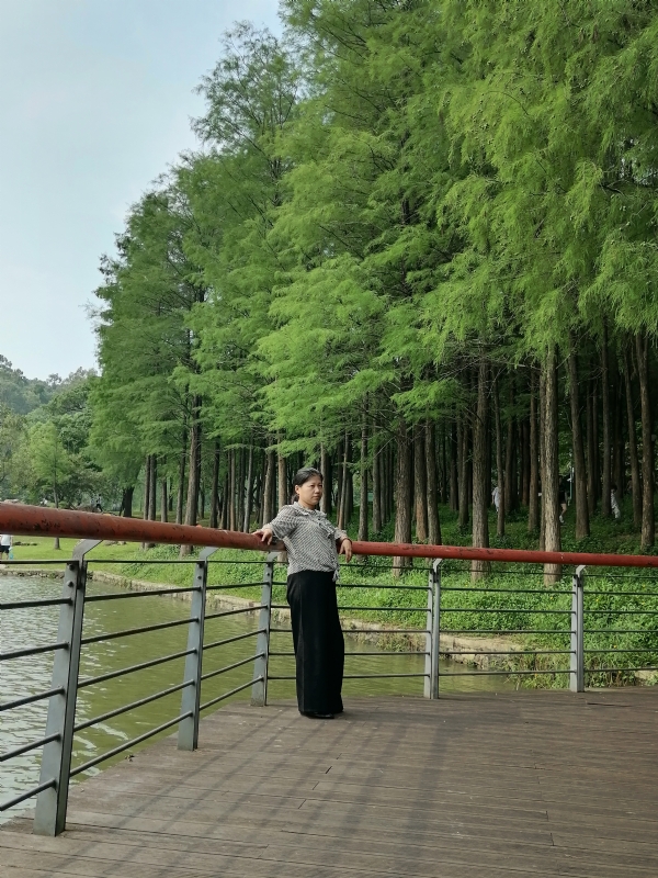 遗失的记忆的第二张照片--绵阳相亲服务中心