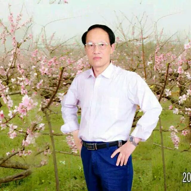 枫叶的第一张照片--绵阳相亲服务中心