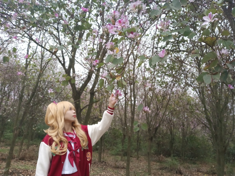 暮秋的第一张照片--绵阳相亲服务中心