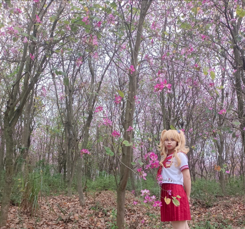 暮秋的第三张照片--绵阳相亲服务中心