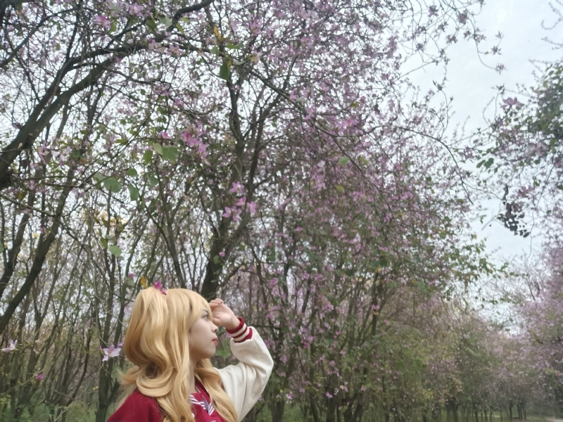 暮秋的第五张照片--绵阳相亲服务中心