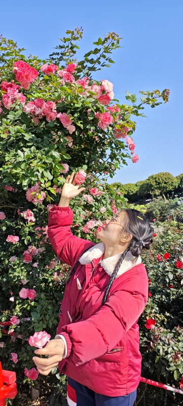 狗狗的第一张照片--绵阳相亲服务中心