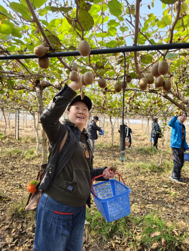 夜莺的第四张照片--绵阳相亲服务中心